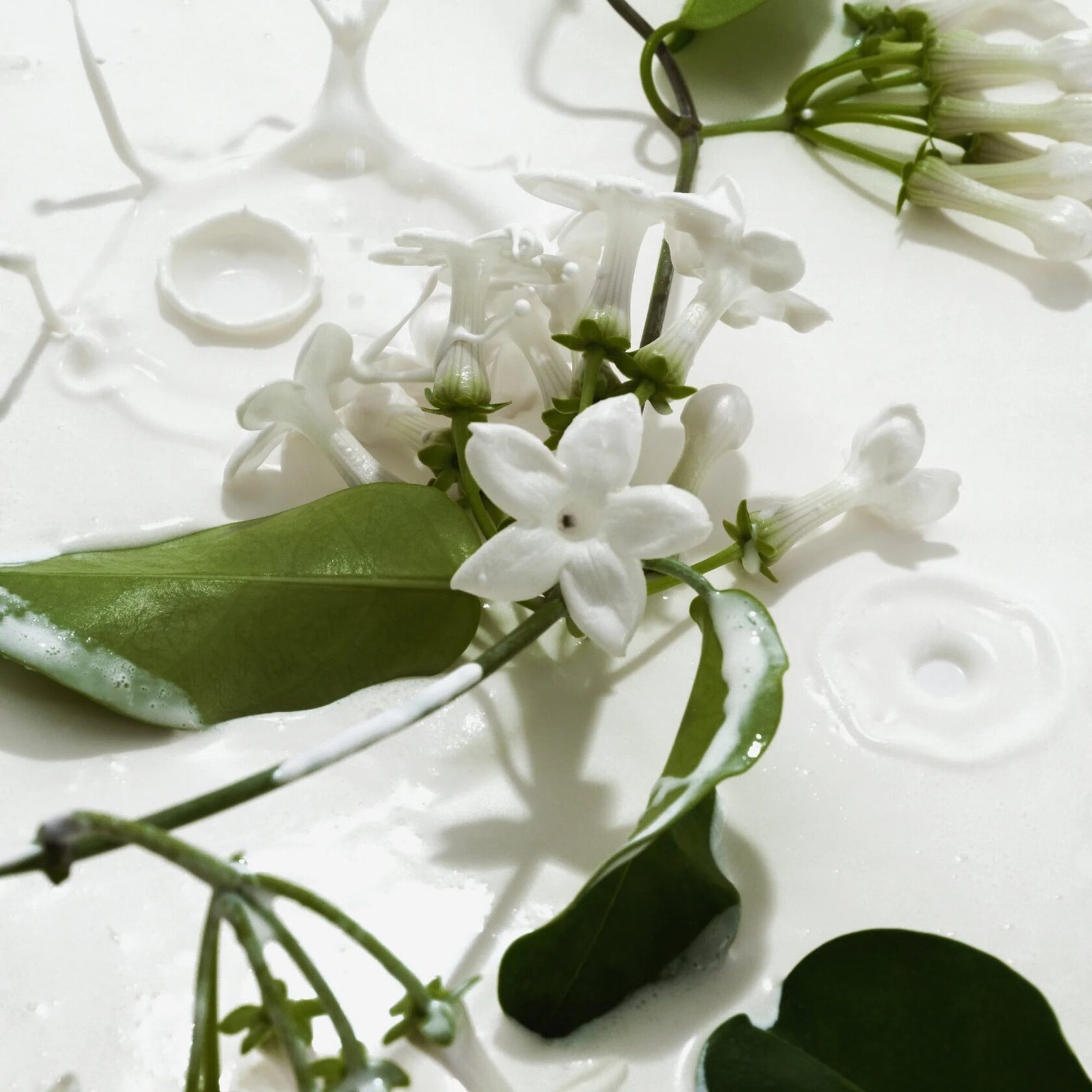 HEAVY CREAM HAIR AND BODY MIST