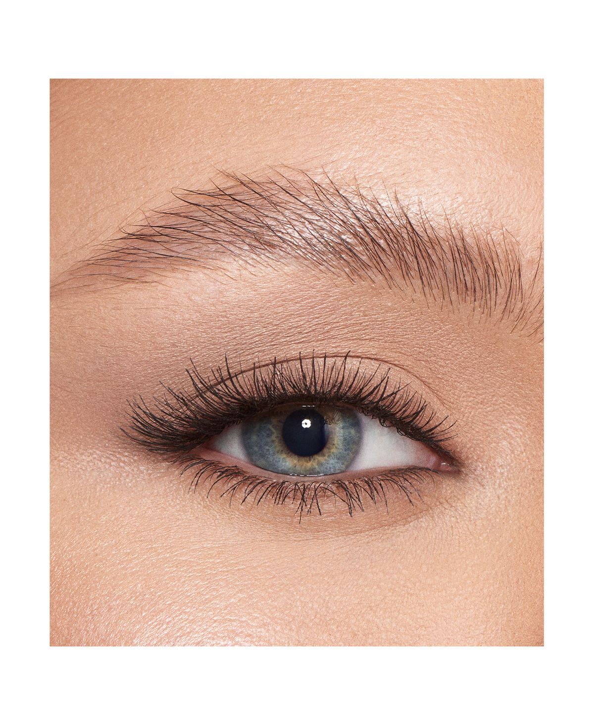 BROW FIX