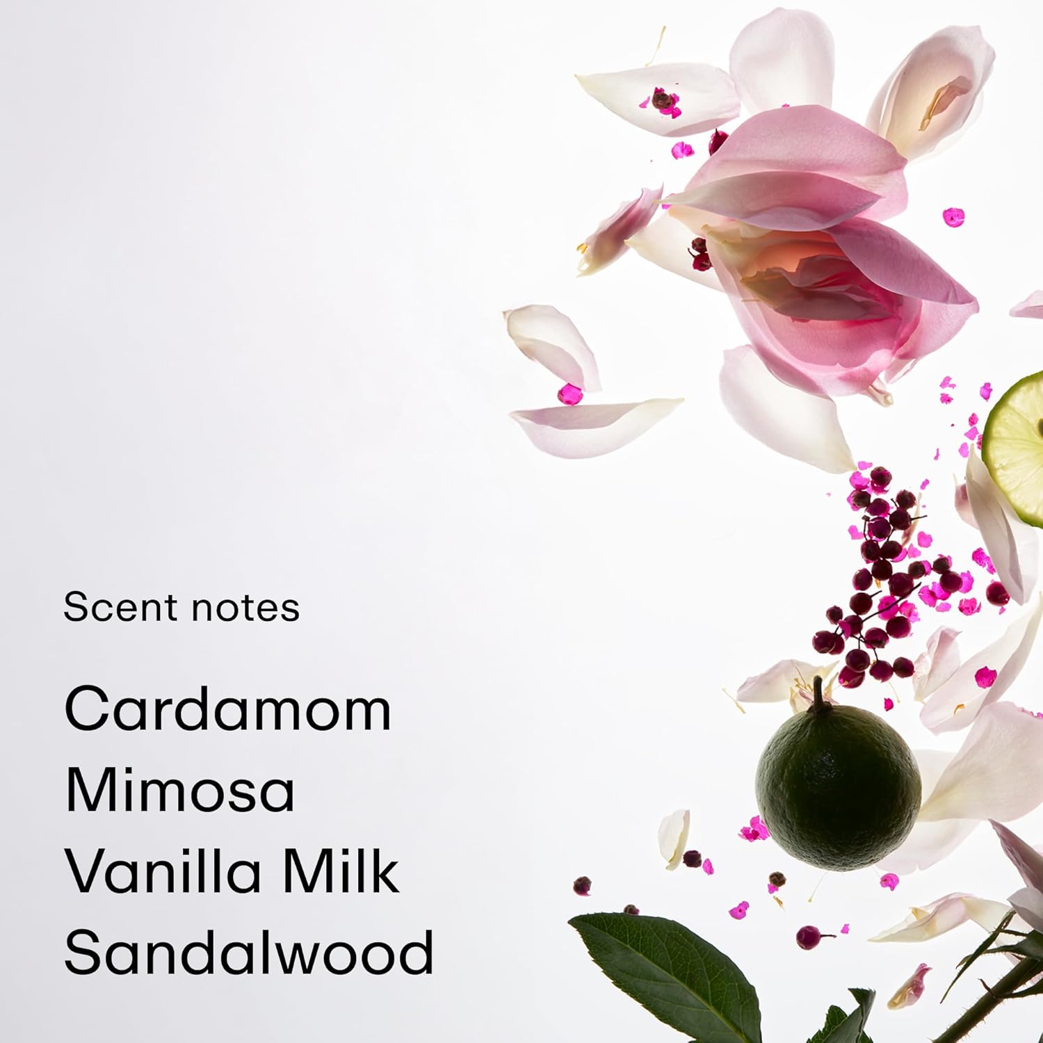 NOT YOUR BABY EAU DE PARFUM