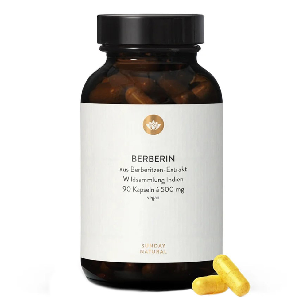 BERBERINE EXTRACT 500 MG
