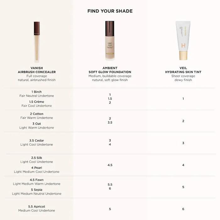 VANISH AIRBRUSH CONCEALER